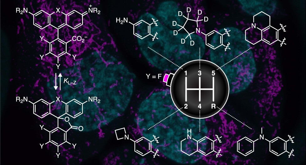 ジェイクラフト　Dr.Jena Cell Shot Red-Shifted and Fluorinated Dyes 